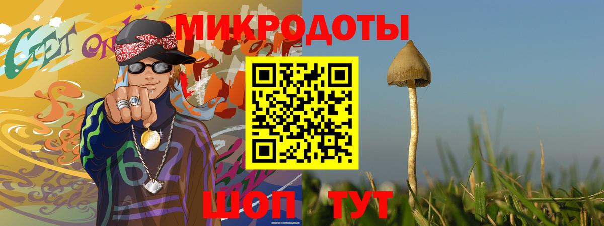 продажа наркотиков  Псилоцибиновые грибы мицелий  Вход с VPN  Подольск 