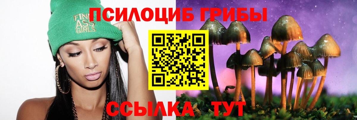 Псилоцибиновые грибы Psilocybine cubensis Подольск